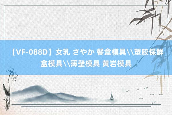 【VF-088D】女乳 さやか 餐盒模具\塑胶保鲜盒模具\薄壁模具 黄岩模具