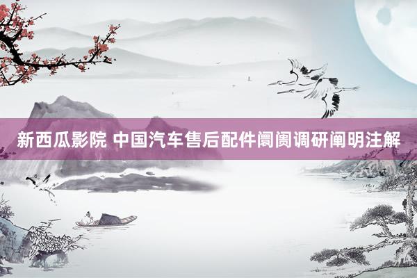 新西瓜影院 中国汽车售后配件阛阓调研阐明注解