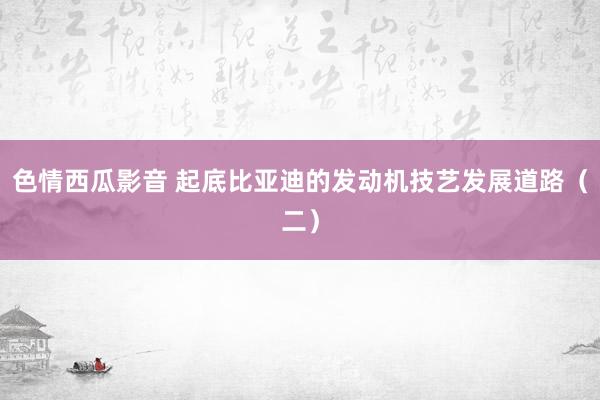 色情西瓜影音 起底比亚迪的发动机技艺发展道路（二）