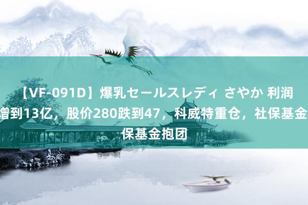 【VF-091D】爆乳セールスレディ さやか 利润5亿增到13亿，股价280跌到47，科威特重仓，社保基金抱团