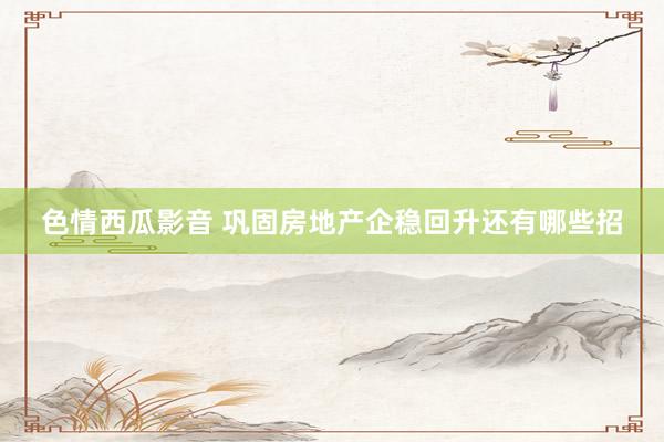 色情西瓜影音 巩固房地产企稳回升还有哪些招