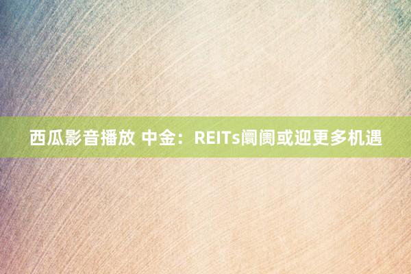 西瓜影音播放 中金：REITs阛阓或迎更多机遇