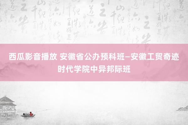 西瓜影音播放 安徽省公办预科班—安徽工贸奇迹时代学院中异邦际班