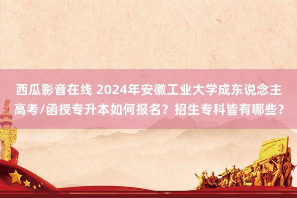 西瓜影音在线 2024年安徽工业大学成东说念主高考/函授专升本如何报名？招生专科皆有哪些？