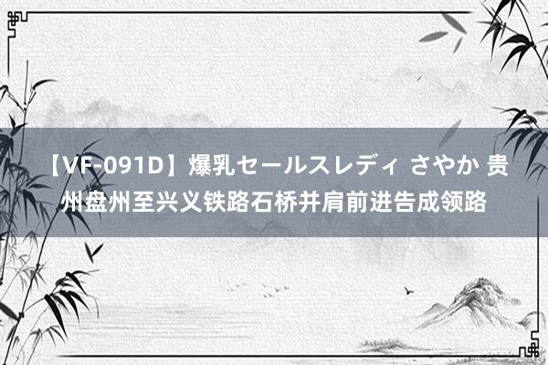 【VF-091D】爆乳セールスレディ さやか 贵州盘州至兴义铁路石桥并肩前进告成领路