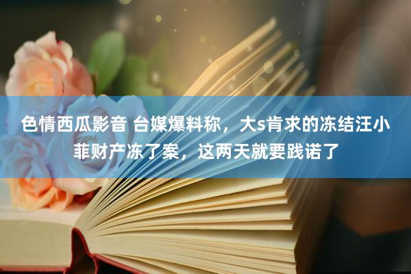 色情西瓜影音 台媒爆料称，大s肯求的冻结汪小菲财产冻了案，这两天就要践诺了