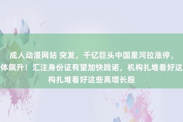 成人动漫网站 突发，千亿巨头中国星河拉涨停，牛市旗头集体飙升！汇注身份证有望加快践诺，机构扎堆看好这些高增长股
