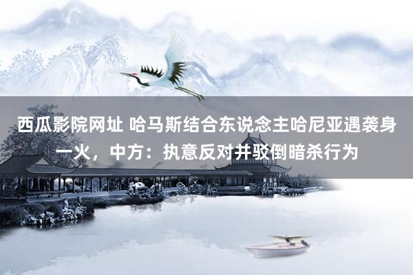 西瓜影院网址 哈马斯结合东说念主哈尼亚遇袭身一火，中方：执意反对并驳倒暗杀行为