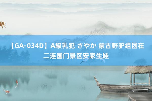 【GA-034D】A級乳犯 さやか 蒙古野驴组团在二连国门景区安家生娃