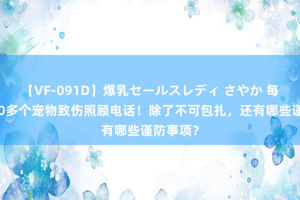 【VF-091D】爆乳セールスレディ さやか 每月接到70多个宠物致伤照顾电话！除了不可包扎，还有哪些谨防事项？