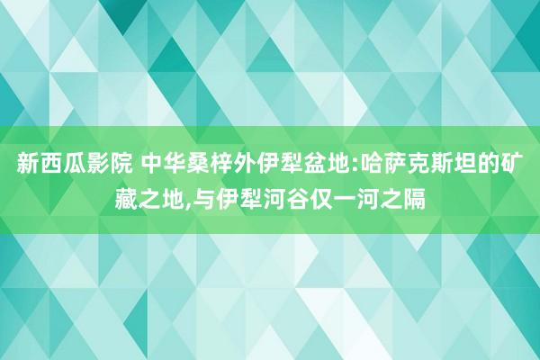 新西瓜影院 中华桑梓外伊犁盆地:哈萨克斯坦的矿藏之地，与伊犁河谷仅一河之隔