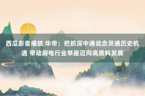 西瓜影音播放 华帝：把抓深中通说念灵通历史机遇 带动厨电行业举座迈向高质料发展