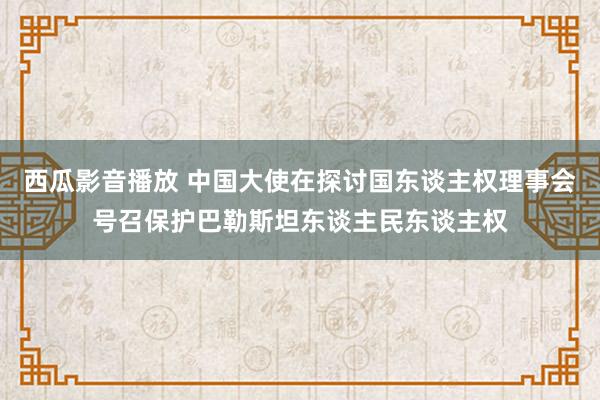 西瓜影音播放 中国大使在探讨国东谈主权理事会号召保护巴勒斯坦东谈主民东谈主权