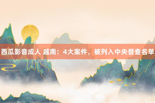 西瓜影音成人 越南：4大案件，被列入中央督查名单