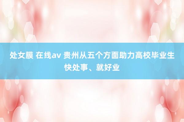 处女膜 在线av 贵州从五个方面助力高校毕业生快处事、就好业