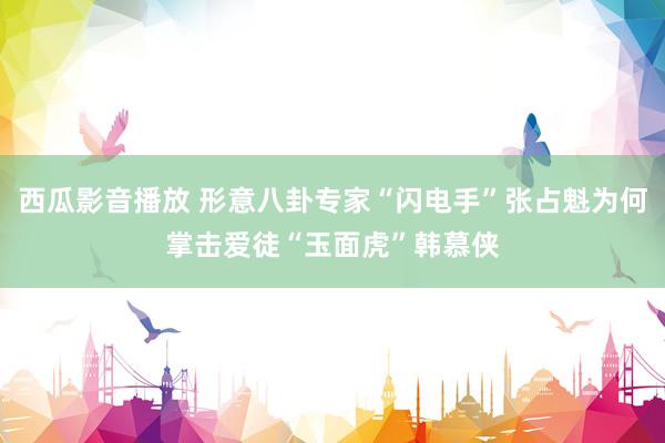 西瓜影音播放 形意八卦专家“闪电手”张占魁为何掌击爱徒“玉面虎”韩慕侠