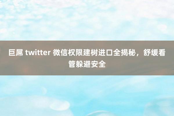 巨屌 twitter 微信权限建树进口全揭秘，舒缓看管躲避安全