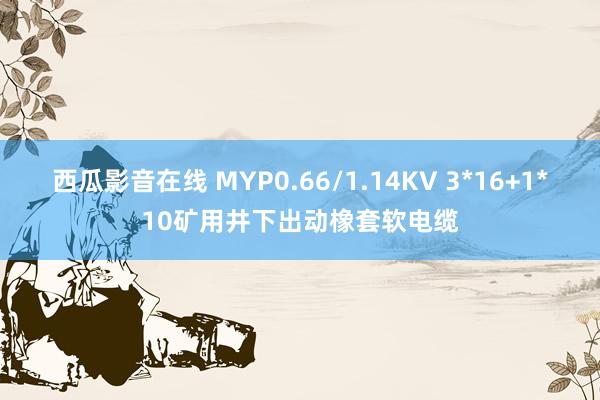 西瓜影音在线 MYP0.66/1.14KV 3*16+1*10矿用井下出动橡套软电缆