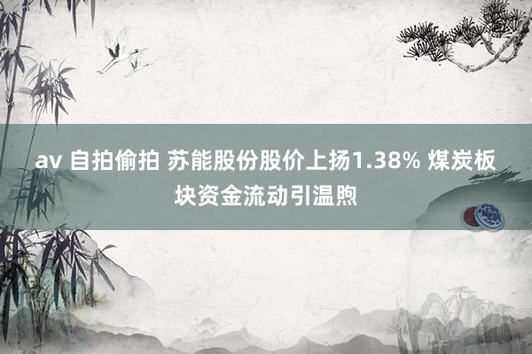 av 自拍偷拍 苏能股份股价上扬1.38% 煤炭板块资金流动引温煦