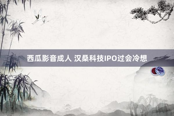 西瓜影音成人 汉桑科技IPO过会冷想