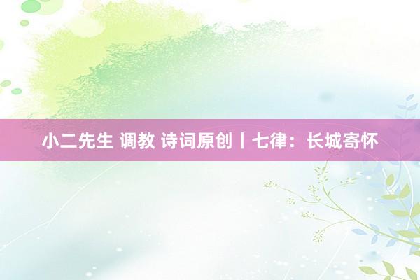 小二先生 调教 诗词原创丨七律：长城寄怀